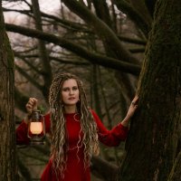 В старом лесу :: Michel 