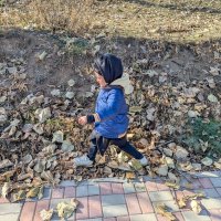 Хруст листьев :: Андрей Хлопонин