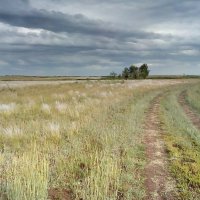 Эх, дороги....Степь,да степь кругом... :: Георгиевич Эх, дороги....Степь,да степь кругом... :: Георгиевич