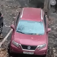 Lexus :: Дмитрий Никитин