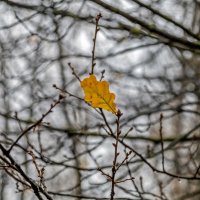 Самый стойкий :: Валерий Иванович