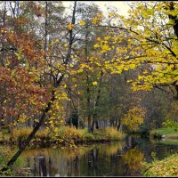 *** :: Aleksandr Gal