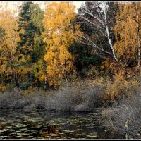 *** :: Aleksandr Gal