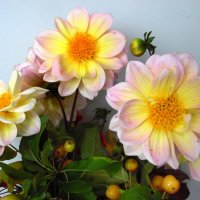 Весёлые ребятки. :: nadyasilyuk Вознюк