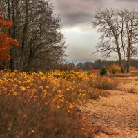 Морские дубки :: skijumper Иванов Морские дубки :: skijumper Иванов