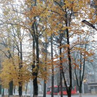 *** :: Валентина Береснева