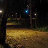 Вечер в городе :: юрий поляков