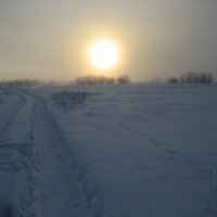 Зимнее солнце :: Anna Ivanova