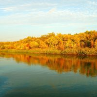Берег Дона в осенних красках :: Сергей Беляев