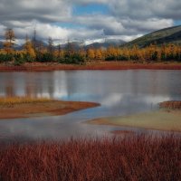 Разноцветная осень :: Дмитрий Шишкин