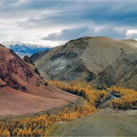**** :: Алексей Мезенцев **** :: Алексей Мезенцев