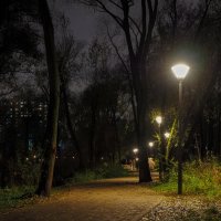 ***** :: юрий поляков