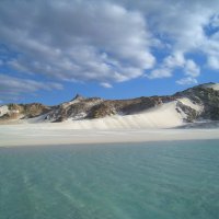 Чудесный кусочек острова Сокотра. :: unix (Илья Утропов)