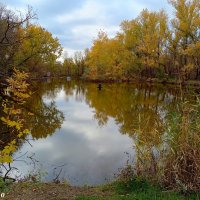 Октябрь в ростовском зоопарке :: Нина Бутко Октябрь в ростовском зоопарке :: Нина Бутко