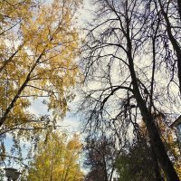 Краски осени :: Александр Кондаков