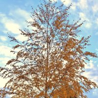 У дома :: Александр Кондаков У дома :: Александр Кондаков