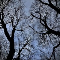 *** :: Любовь *** :: Любовь