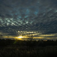 закат :: mihail 