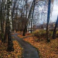 Глубокая осень в Москве :: Андрей Лукьянов
