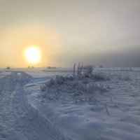 Утро :: Anna Ivanova