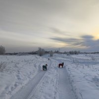 Утро :: Anna Ivanova