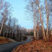 Серою лентою вьётся дорога! :: Елена Хайдукова ( Elena Fly )