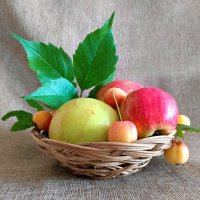 Дары осени :: Любовь Сахарова