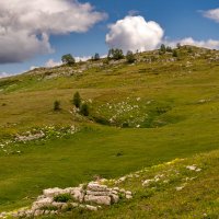 Лаго-Наки :: Игорь Сикорский