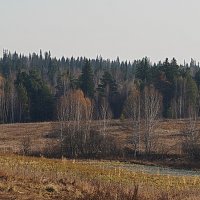 Дохнул осенний хлад... :: Галина Кан