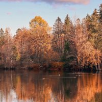 Вартемяжское озеро :: skijumper Иванов