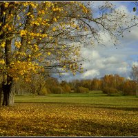 Очей очарованье..... :: Aleksandr Gal