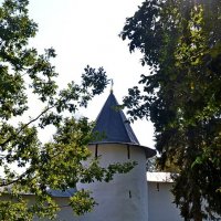 Свято-Успенский Псково-Печерский монастырь :: Виктор Осипчук