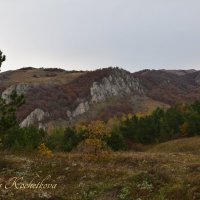 Природа Крыма :: Amazing Cosmea