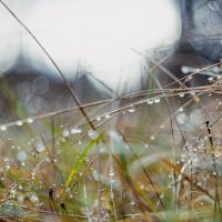 Между дождём и солнцем :: yuriim ㅤ