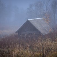 **** :: Елизавета .
