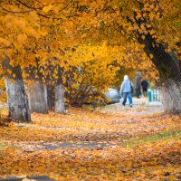 Осенние моменты :: Sergei Vikulov