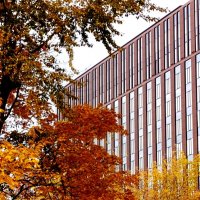 Осень... :: Сергей Дабаев