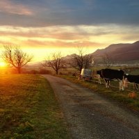 sunset :: Elena Wymann