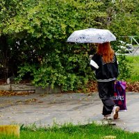 Шёл мелкий дождь... :: Николай Саржанов Шёл мелкий дождь... :: Николай Саржанов