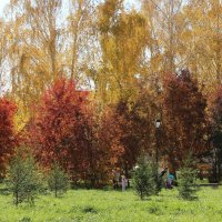 Осень :: Венера Чуйкова Осень :: Венера Чуйкова