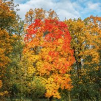 Осень :: Владимир Колесников