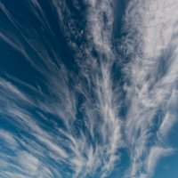 **** :: Виталий Емельянов