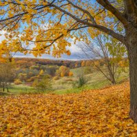 Октябрь в Царицыно... :: Владимир Жданов Октябрь в Царицыно... :: Владимир Жданов