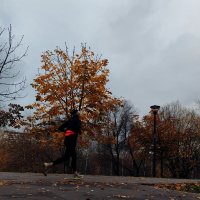 Бегущая девушка на фоне золотого дерева в пасмурную погоду. :: Ann 