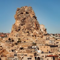 Муравейник :: Лилия .