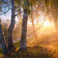 "Золотая секунда" ... :: Roman Lunin "Золотая секунда" ... :: Roman Lunin