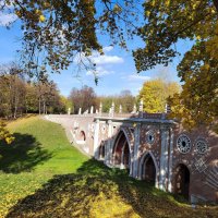 *** :: Евгений Васильев