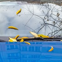 Осеннее :: Валерий Иванович