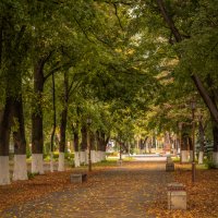 Армавир в октябре :: Игорь Сикорский