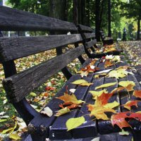 Всё засыпало :: Людмила Смородинская Всё засыпало :: Людмила Смородинская